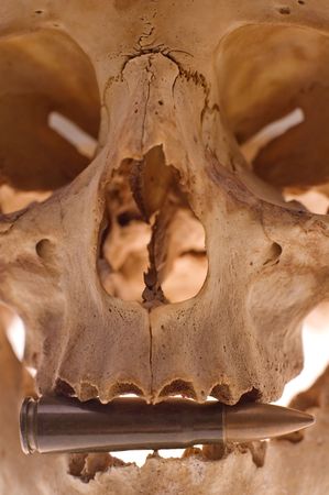 detail photo of a human skull holding a rifle bullet between it's teethの写真素材
