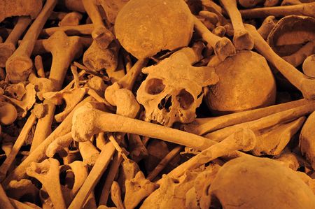 old historic skulls and bones at a mass grave