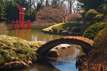 pond of the Japanese Garden at the Brooklyn Botanic Gardens. New York, USA.の写真素材