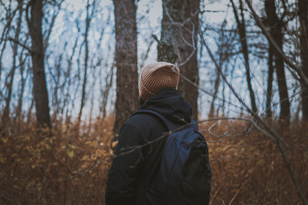 Trunks of trees, the autumn gloomy wood without foliage, pines and oaks, a yellow grass. The man in...