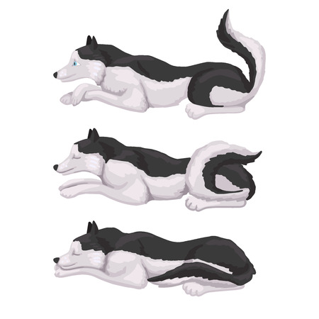 Husky breed dog. Different poses. Lies, sleeps and wakes up. Black and white color. Baby cute illustration.のイラスト素材