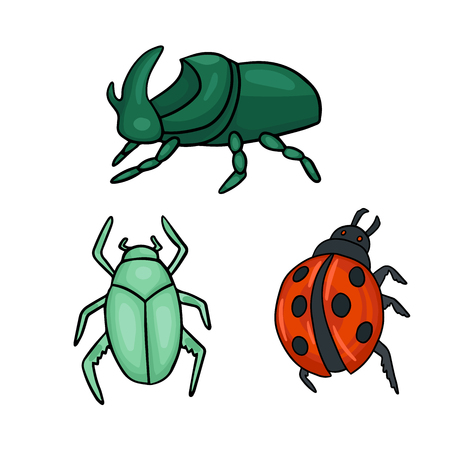 Three types of beetles. Ladybug and green bug.のイラスト素材