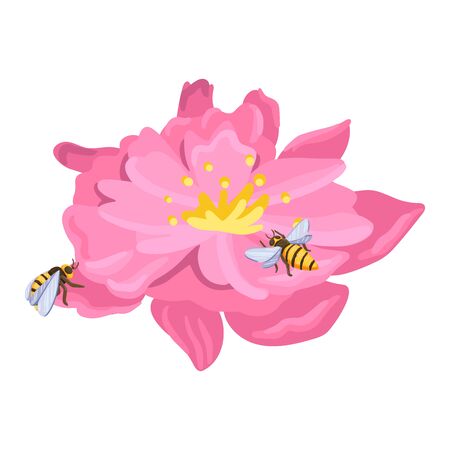A bee sits on a red flower, a summer colorful illustration of an insect in the environment. Nature in summer, insect life. Vector cartoon flat style illustration.のイラスト素材