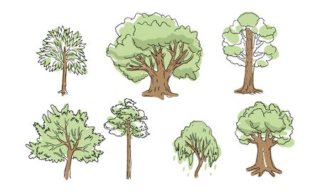 A set of trees. Various trunks and foliage of plants, forest trees. Sketch style, contours and spots, linear handrawing. Illustration on white background.のイラスト素材