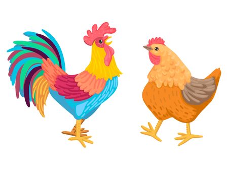 Rooster and chicken go. A pair of domestic birds. Vector characters are not white background.のイラスト素材