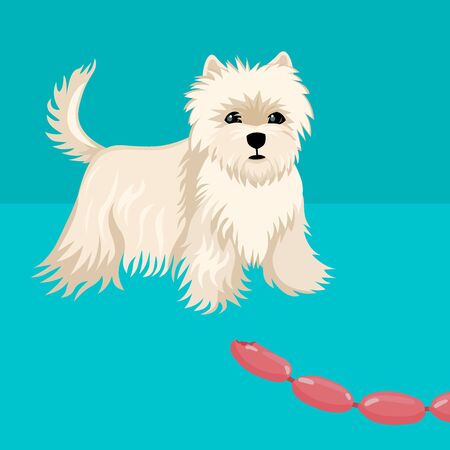 Small dog, a Shih Tsu breed, looks at the sausages. Vector illustrationのイラスト素材