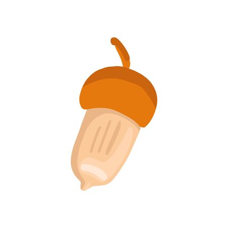 Acorn isolated on white background. Vector illustrationのイラスト素材