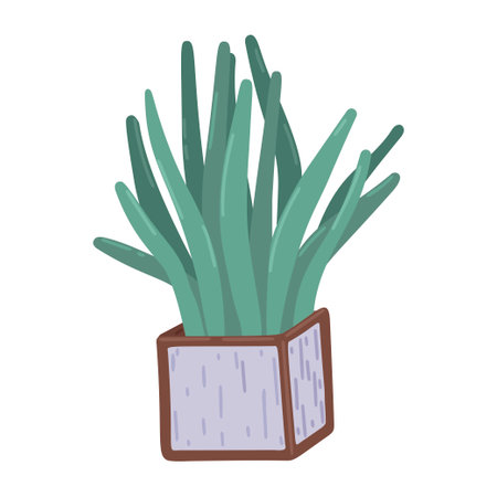 Sansevieria. Square pot with Sansevieria, indoor plants, decor element, interior design, floristry. Simple cartoon flat drawing. Vector illustrationのイラスト素材