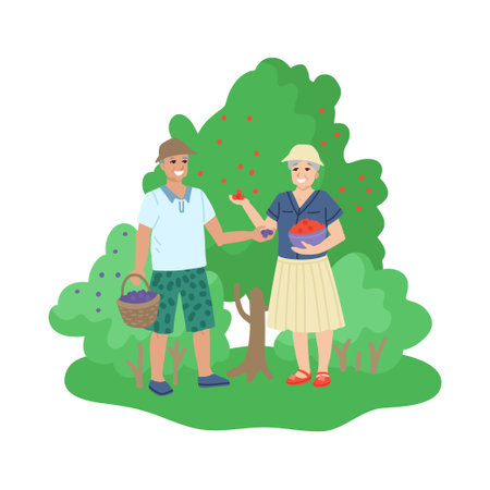 Retired old people, hobbies and activities, picking berries in the garden, walking in nature. Vector cartoon illustrationのイラスト素材