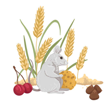 harvest mouse, mouse food, pet food, grains, berries, cheese and nuts. Vector cartoon illustrationのイラスト素材