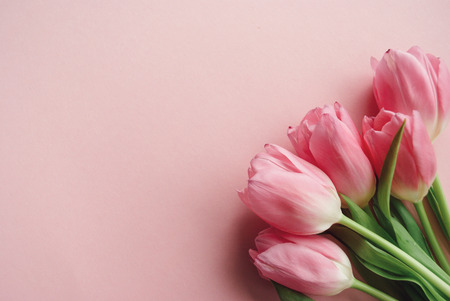 Beautiful bouquet of pink tulips on a pale pink pastel background. Place for your design, text, etc.の写真素材