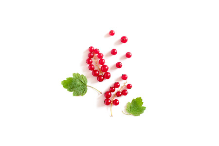 Red currant on a white backgroundの写真素材