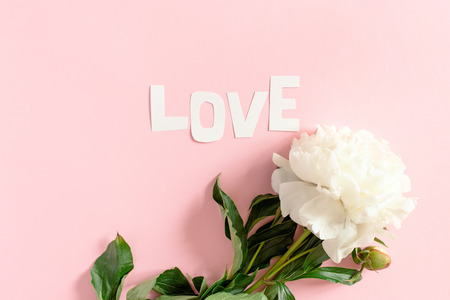 Word Love made of letters cut out of paper. White peony on a pink pastel backgroundの写真素材