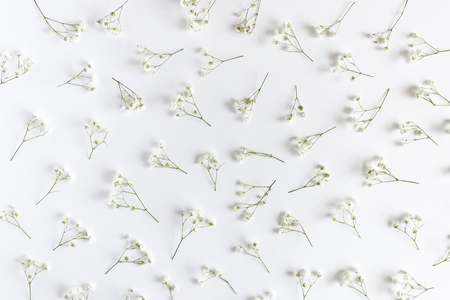 Floral pattern made of gypsophila on a white backgroundの写真素材