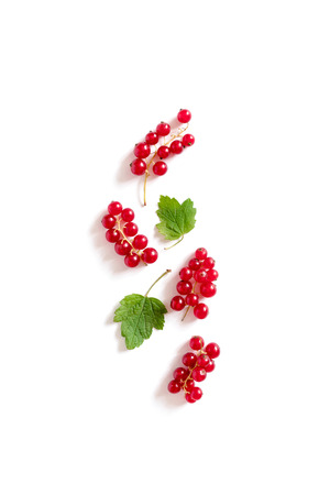 Red currant on a white backgroundの写真素材