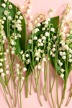 Lilies of the valley with green leaves  on a pink pastel backgroundの写真素材