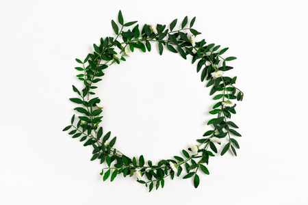 Wreath made of chrysanthemum flowers and pistachios branches on a white backgroundの写真素材