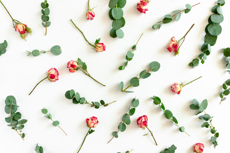 Pattern made of eucalyptus branches and pink roses on a white backgroundの写真素材