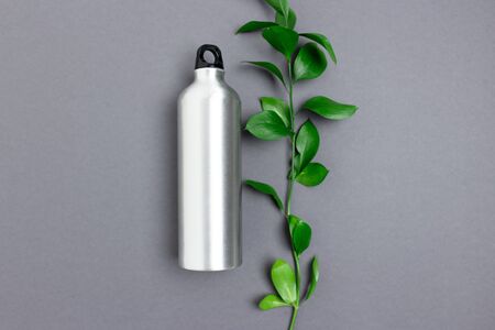 Layout of bottle and ruscus branch. Minimalistic zero waste concept.の写真素材