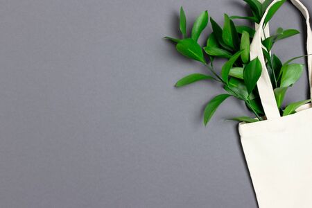 Bouquet of ruscus in canvas bag. Plastic free concept with copy space.の写真素材
