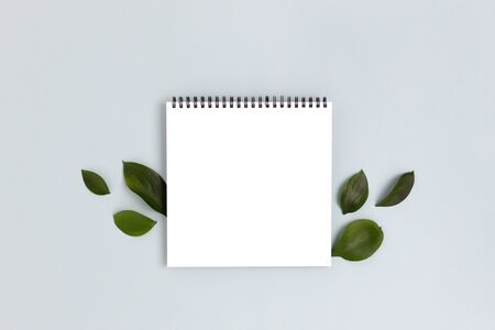 Frame made of green leaves on a blue pastel background. Blank notepad mockup. Spring concept with copy space.の写真素材