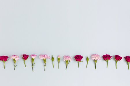 Layout of carnation flowers and roses on a blue pastel background. Floral flat lay.