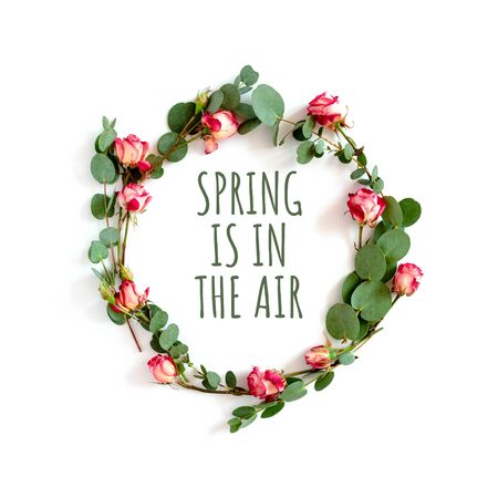 Quote Spring is in the air. Wreath made of eucalyptus branches and pink rose flowers on a white background.の写真素材
