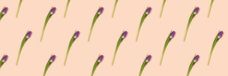 Pattern made of tulip flowers on a beige background. Banner design.の写真素材