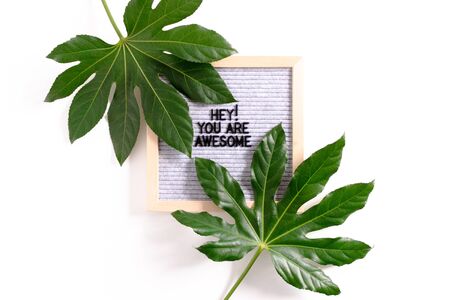 Top view of green tropical leaves and letterboard with quote Hey you are awesomeの写真素材