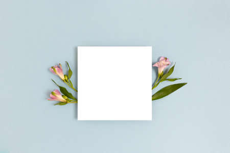 Composition with flowers and blank paper on a blue pastel background. Greetind card mockup.