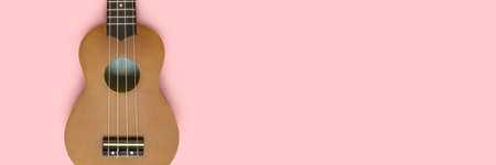 Banner with ukulele on a pastel pink backgrount. Musical equipment layout.