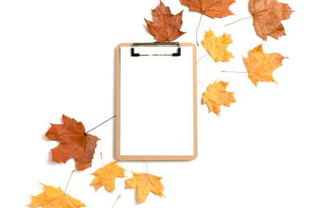 Clipboard mockup with dry maple leaves on white background