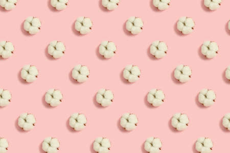 Dried cotton flowers pattern on a pink pastel background. Creative floral arrangement.の写真素材