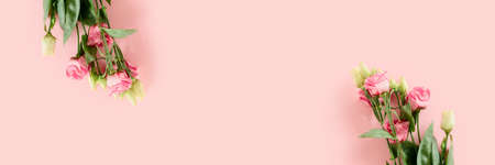 Banner with eustoma flowers on a pink background. Creative cover template with copy space.の写真素材