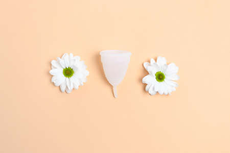 White chamomile flowers and menstural cup on yellow background. Plastic free concept.の写真素材