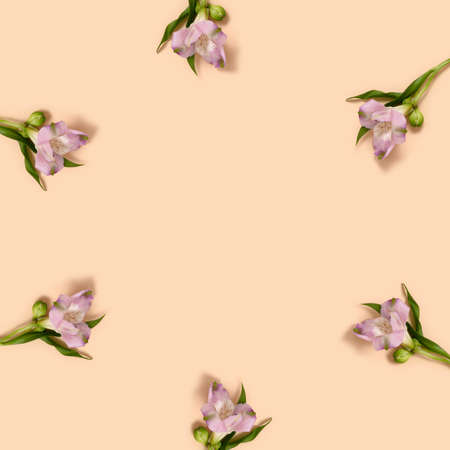 Alstroemeria flowers wreath on a beige background. Springtime floral concept with copy space.