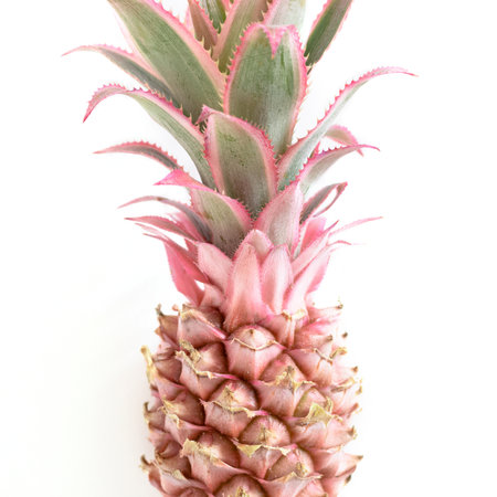 Closeup of decorative pink pineapple on a white backgroundの写真素材