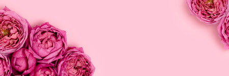Banner with frame made of rose flowers on a pink background. Spring concept with copyspace. Floral gentle composition.の写真素材