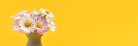 Banner with bouquet of chamomile flowers in vase in front of yellow background. Springtime floral composition with copyspace.の写真素材
