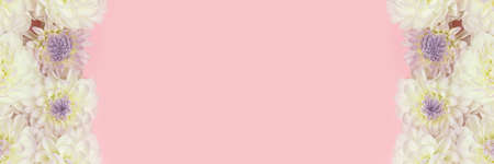 Banner with frame made of white dahlia flowers texture. Springtime composition with copyspace.の写真素材