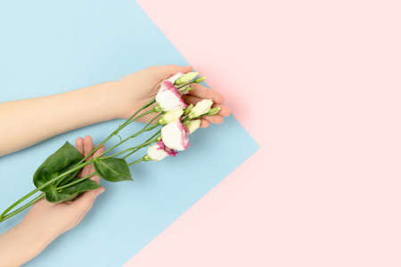 Female hands hold bouquet of eustoma flowers on a colorful pastel background. Spring holidays...