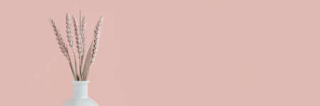 Header with wheat spikelets bouquet on a pink background. Monochrome concept with copy space.の写真素材