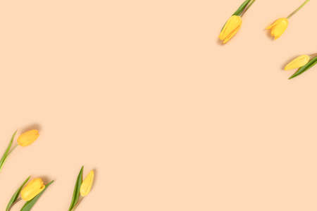 Frame made of yellow tulip flowers on a beige pastel background. Springtime concept with place for text.の写真素材
