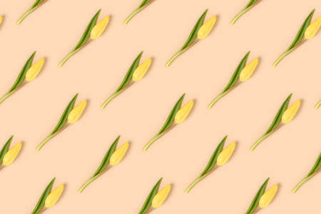Repetitive pattern made of yellow tulip flowers on a beige background. Creative art concept.の写真素材