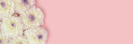 Banner with frame made of white dahlia flowers texture. Springtime composition with copyspace.