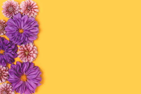 Dahlia flower texture on a yellow background with copyspace. Springtime frame. Nature romantic concept.の写真素材
