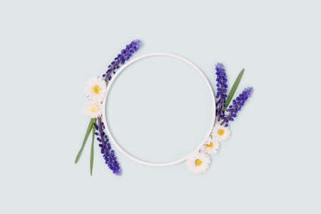 Round frame made of chamomile and muscari flowers on a pink pastel background.の写真素材