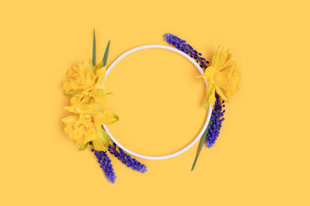 Wreath made of narcissus and muscari flowers on a yellow background.