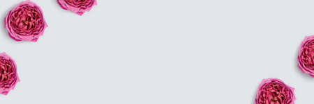 Banner with scattered pink rose flowers on a blue background. Minimalistic floral frame with copyspace.の写真素材