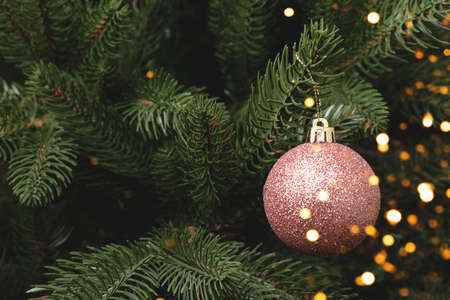 Pink glowing Christmas toy hanging on a fir tree. New Year decoration with place for text.の写真素材